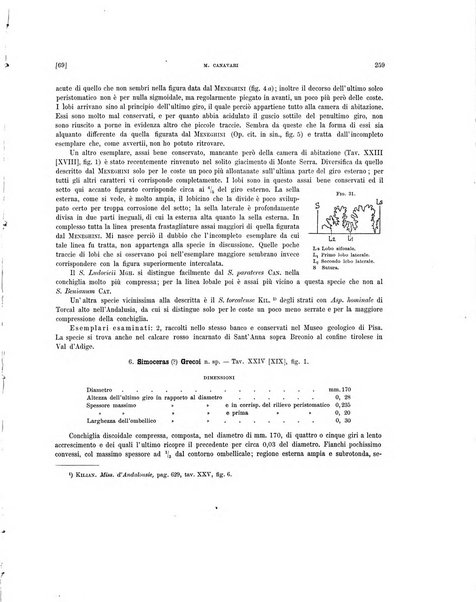 Palaeontographia Italica raccolta di monografie paleontologiche fondata da Mario Canavari nell'anno 1895