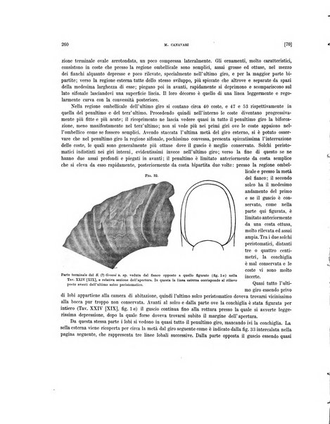 Palaeontographia Italica raccolta di monografie paleontologiche fondata da Mario Canavari nell'anno 1895