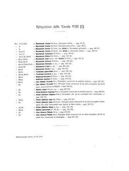 Palaeontographia Italica raccolta di monografie paleontologiche fondata da Mario Canavari nell'anno 1895