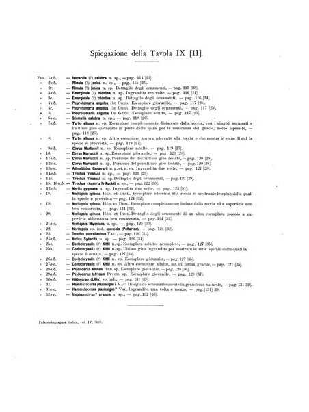 Palaeontographia Italica raccolta di monografie paleontologiche fondata da Mario Canavari nell'anno 1895