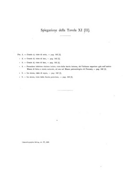 Palaeontographia Italica raccolta di monografie paleontologiche fondata da Mario Canavari nell'anno 1895