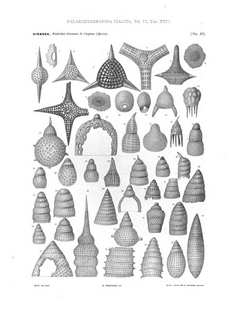 Palaeontographia Italica raccolta di monografie paleontologiche fondata da Mario Canavari nell'anno 1895