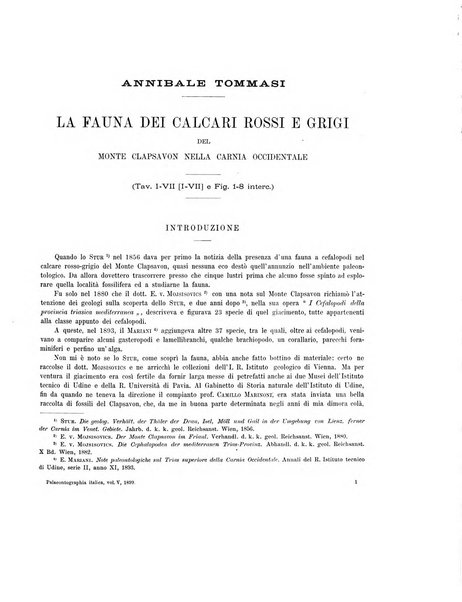 Palaeontographia Italica raccolta di monografie paleontologiche fondata da Mario Canavari nell'anno 1895