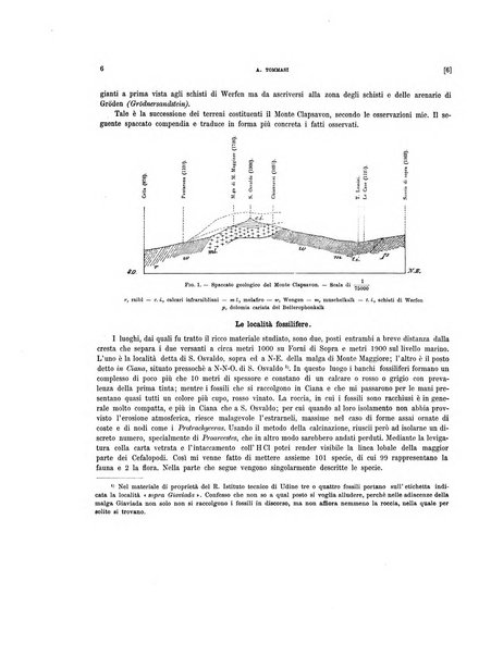 Palaeontographia Italica raccolta di monografie paleontologiche fondata da Mario Canavari nell'anno 1895