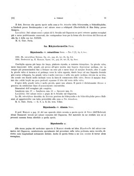 Palaeontographia Italica raccolta di monografie paleontologiche fondata da Mario Canavari nell'anno 1895