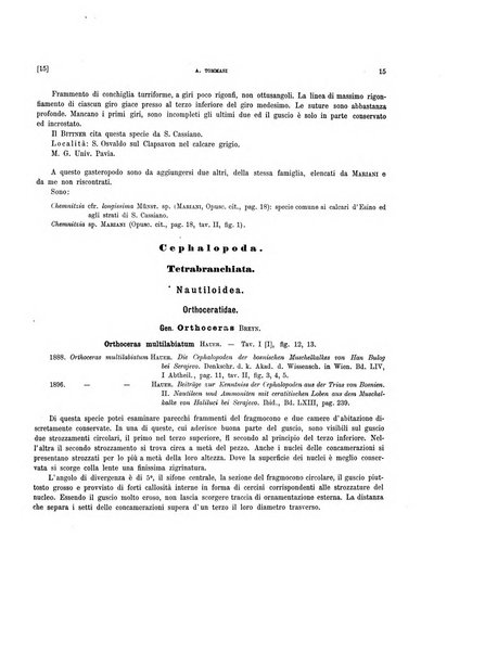 Palaeontographia Italica raccolta di monografie paleontologiche fondata da Mario Canavari nell'anno 1895