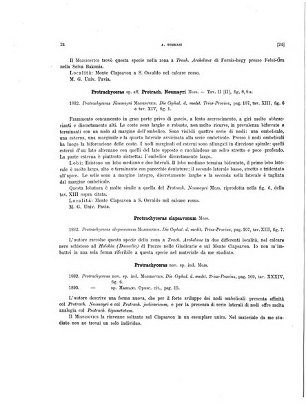 Palaeontographia Italica raccolta di monografie paleontologiche fondata da Mario Canavari nell'anno 1895