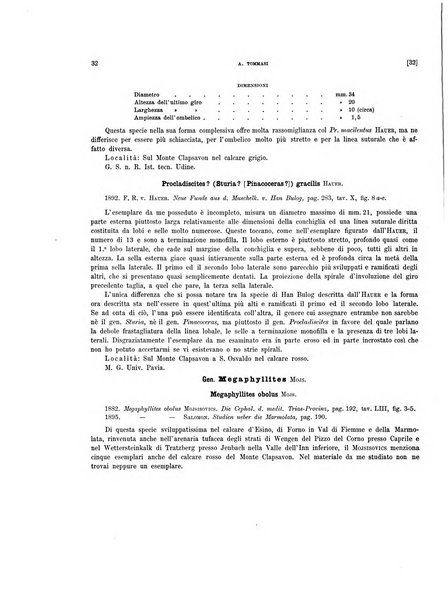 Palaeontographia Italica raccolta di monografie paleontologiche fondata da Mario Canavari nell'anno 1895