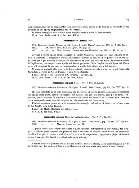 Palaeontographia Italica raccolta di monografie paleontologiche fondata da Mario Canavari nell'anno 1895