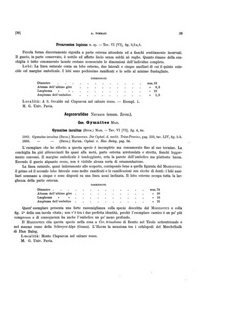 Palaeontographia Italica raccolta di monografie paleontologiche fondata da Mario Canavari nell'anno 1895