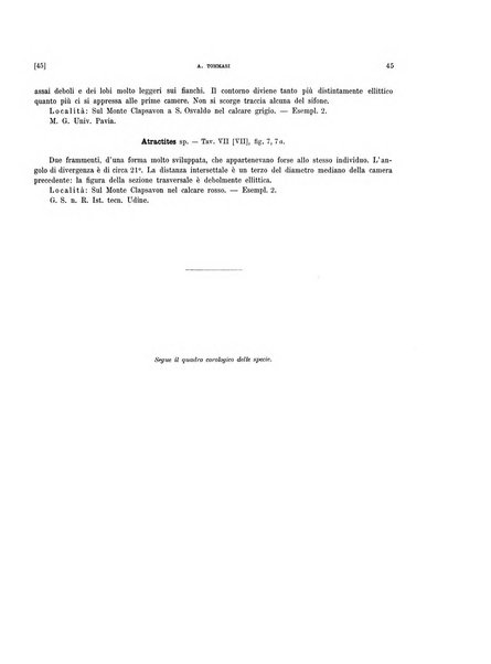 Palaeontographia Italica raccolta di monografie paleontologiche fondata da Mario Canavari nell'anno 1895