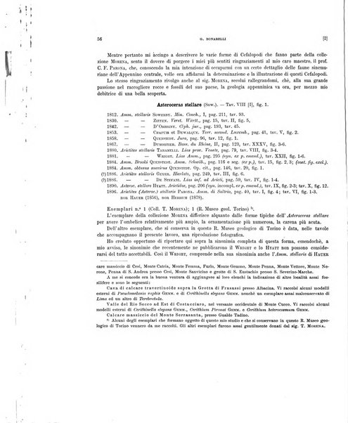 Palaeontographia Italica raccolta di monografie paleontologiche fondata da Mario Canavari nell'anno 1895