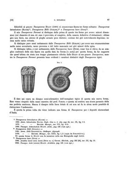 Palaeontographia Italica raccolta di monografie paleontologiche fondata da Mario Canavari nell'anno 1895