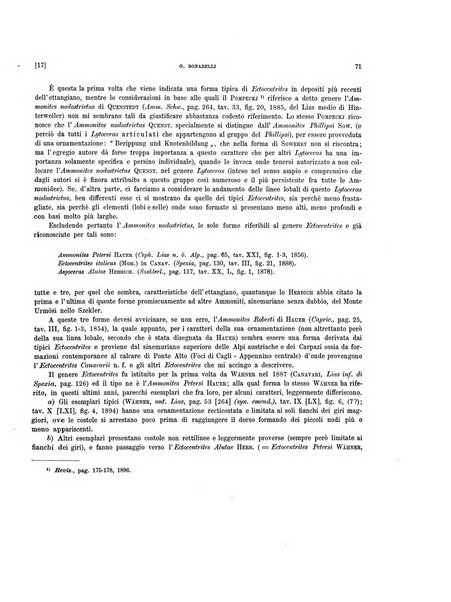 Palaeontographia Italica raccolta di monografie paleontologiche fondata da Mario Canavari nell'anno 1895