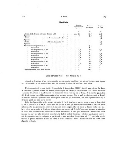 Palaeontographia Italica raccolta di monografie paleontologiche fondata da Mario Canavari nell'anno 1895