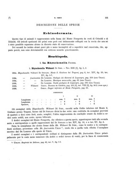 Palaeontographia Italica raccolta di monografie paleontologiche fondata da Mario Canavari nell'anno 1895