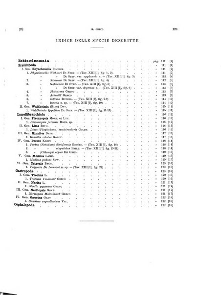 Palaeontographia Italica raccolta di monografie paleontologiche fondata da Mario Canavari nell'anno 1895