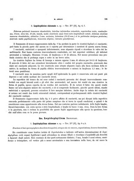 Palaeontographia Italica raccolta di monografie paleontologiche fondata da Mario Canavari nell'anno 1895