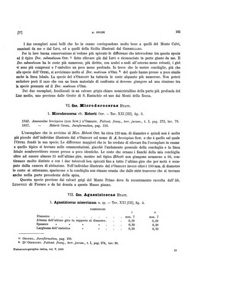 Palaeontographia Italica raccolta di monografie paleontologiche fondata da Mario Canavari nell'anno 1895