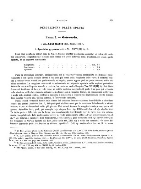 Palaeontographia Italica raccolta di monografie paleontologiche fondata da Mario Canavari nell'anno 1895