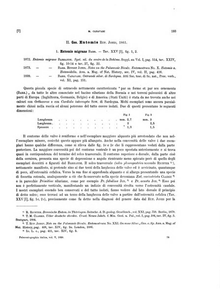 Palaeontographia Italica raccolta di monografie paleontologiche fondata da Mario Canavari nell'anno 1895