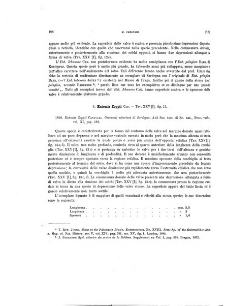 Palaeontographia Italica raccolta di monografie paleontologiche fondata da Mario Canavari nell'anno 1895