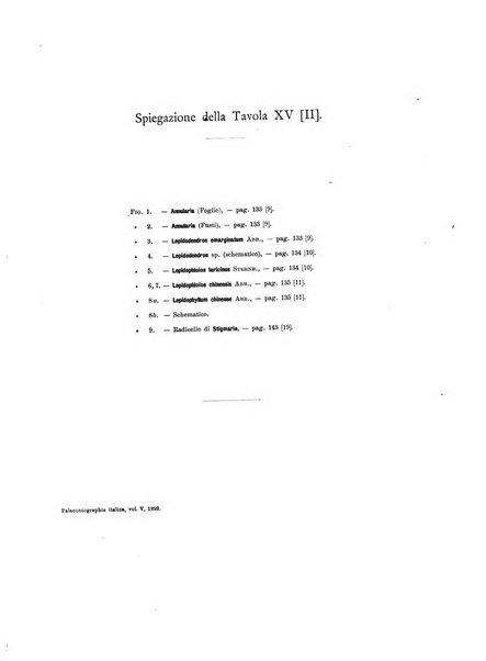 Palaeontographia Italica raccolta di monografie paleontologiche fondata da Mario Canavari nell'anno 1895