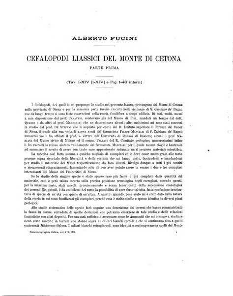 Palaeontographia Italica raccolta di monografie paleontologiche fondata da Mario Canavari nell'anno 1895