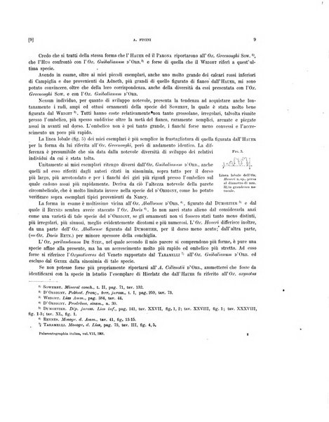 Palaeontographia Italica raccolta di monografie paleontologiche fondata da Mario Canavari nell'anno 1895