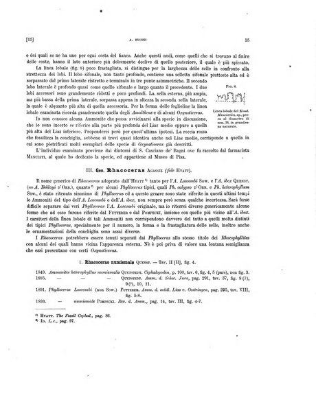 Palaeontographia Italica raccolta di monografie paleontologiche fondata da Mario Canavari nell'anno 1895