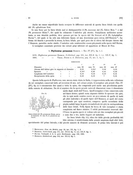 Palaeontographia Italica raccolta di monografie paleontologiche fondata da Mario Canavari nell'anno 1895