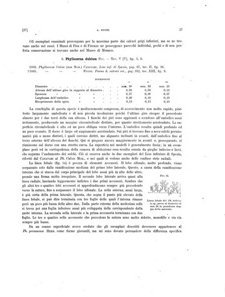 Palaeontographia Italica raccolta di monografie paleontologiche fondata da Mario Canavari nell'anno 1895