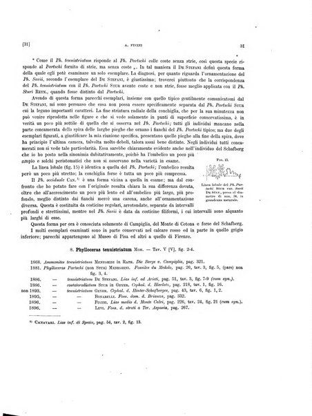 Palaeontographia Italica raccolta di monografie paleontologiche fondata da Mario Canavari nell'anno 1895