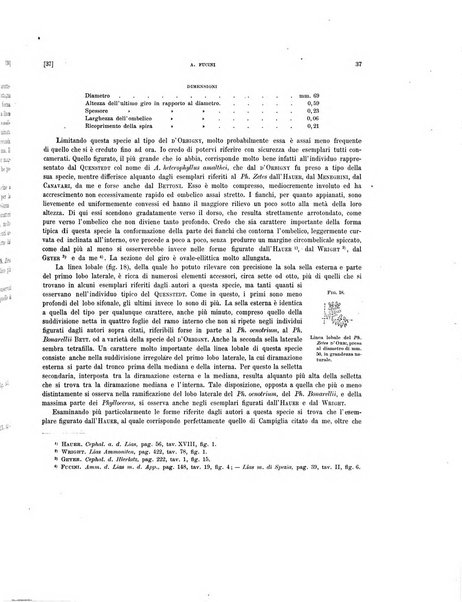 Palaeontographia Italica raccolta di monografie paleontologiche fondata da Mario Canavari nell'anno 1895