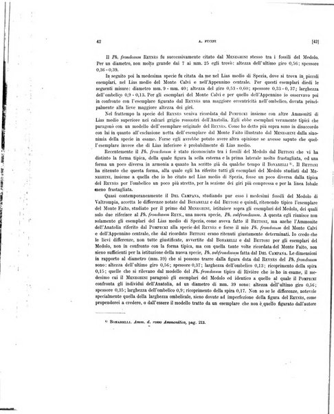 Palaeontographia Italica raccolta di monografie paleontologiche fondata da Mario Canavari nell'anno 1895