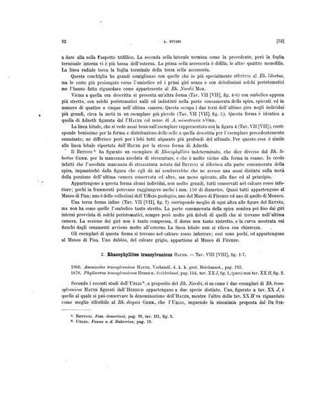 Palaeontographia Italica raccolta di monografie paleontologiche fondata da Mario Canavari nell'anno 1895