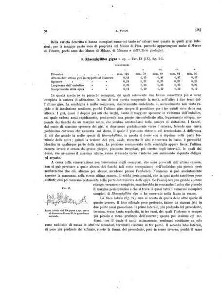 Palaeontographia Italica raccolta di monografie paleontologiche fondata da Mario Canavari nell'anno 1895