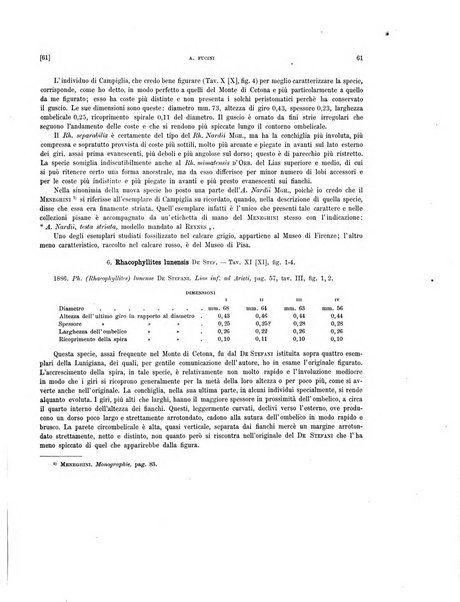 Palaeontographia Italica raccolta di monografie paleontologiche fondata da Mario Canavari nell'anno 1895