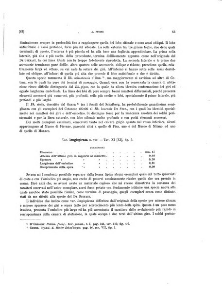 Palaeontographia Italica raccolta di monografie paleontologiche fondata da Mario Canavari nell'anno 1895