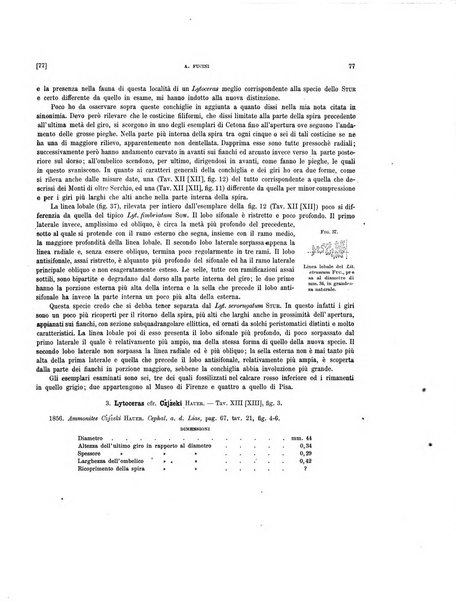 Palaeontographia Italica raccolta di monografie paleontologiche fondata da Mario Canavari nell'anno 1895