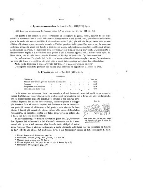 Palaeontographia Italica raccolta di monografie paleontologiche fondata da Mario Canavari nell'anno 1895