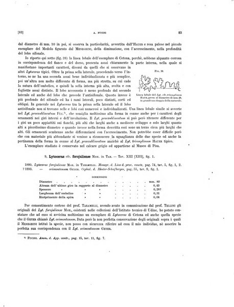 Palaeontographia Italica raccolta di monografie paleontologiche fondata da Mario Canavari nell'anno 1895