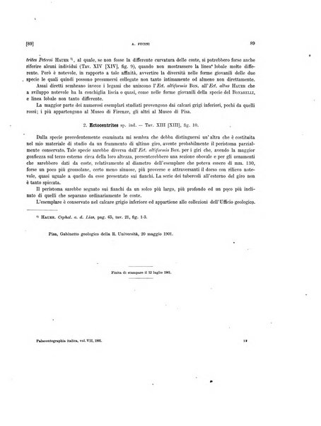 Palaeontographia Italica raccolta di monografie paleontologiche fondata da Mario Canavari nell'anno 1895