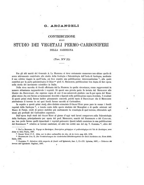 Palaeontographia Italica raccolta di monografie paleontologiche fondata da Mario Canavari nell'anno 1895