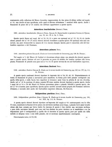 Palaeontographia Italica raccolta di monografie paleontologiche fondata da Mario Canavari nell'anno 1895