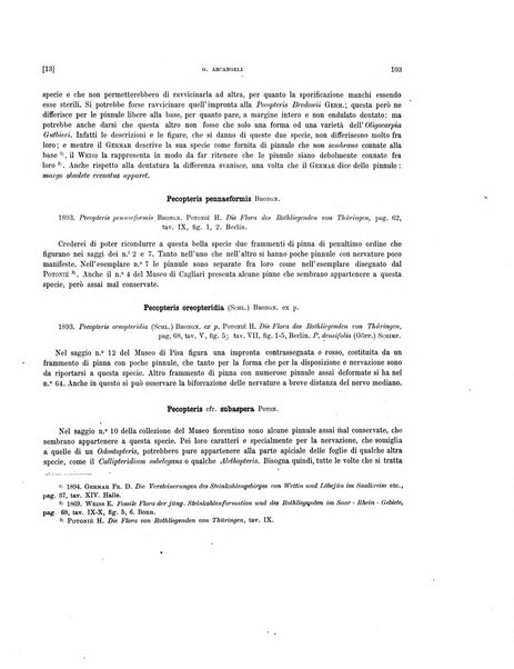 Palaeontographia Italica raccolta di monografie paleontologiche fondata da Mario Canavari nell'anno 1895