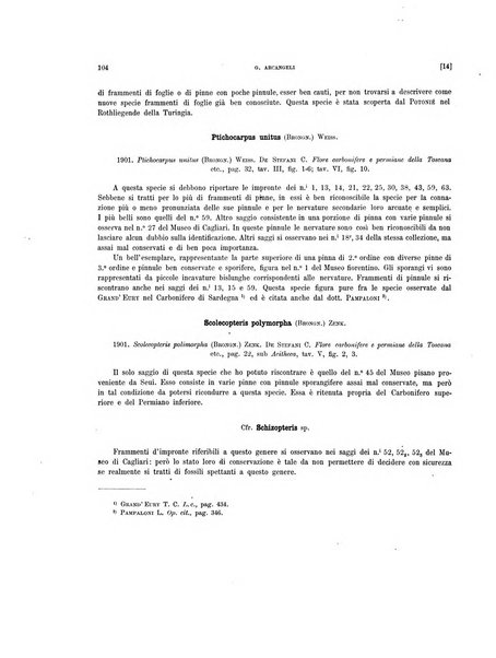 Palaeontographia Italica raccolta di monografie paleontologiche fondata da Mario Canavari nell'anno 1895