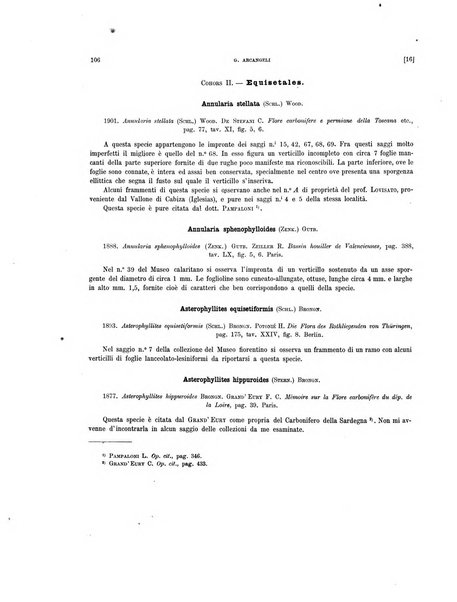 Palaeontographia Italica raccolta di monografie paleontologiche fondata da Mario Canavari nell'anno 1895