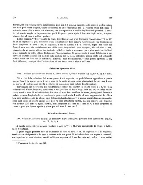 Palaeontographia Italica raccolta di monografie paleontologiche fondata da Mario Canavari nell'anno 1895