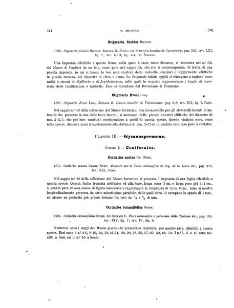 Palaeontographia Italica raccolta di monografie paleontologiche fondata da Mario Canavari nell'anno 1895